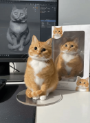 还能吸引同好铲屎流；配文“给我的猫做了专属